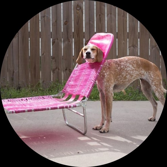 hanger_mgt